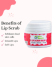 Lip Scrub 2