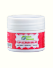 Lip Scrub 4